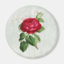 Recherche de arrière plan vintage magnets Nature