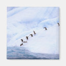 Recherche de oxford magnete Glace