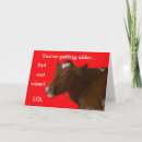 Zoek naar lol briefkaarten Koe