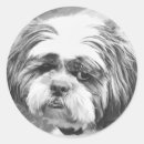 Recherche de shih tzu dog autocollants Amoureux de les chiens