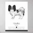 Recherche de papillon noir et blanc posters Animal