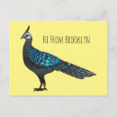 Recherche de paons cartes postales Oiseau