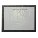 Recherche de fougères blocsnotes Arbre