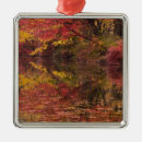 Recherche de delaware ornements Paysage