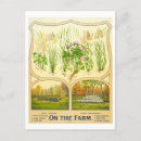 Recherche de agriculture cartes postales Agriculteur