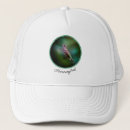 Recherche de de colibri casquettes Oiseau