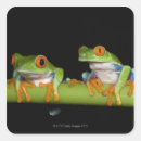 Recherche de yeux rouges autocollants Nature