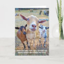 Recherche de photo de chèvre vœux cartes Chèvres