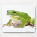 Recherche de reptiles tapis souris Froid blooded