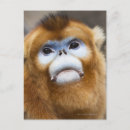 Recherche de partie de mâle posters Partie du corps animal