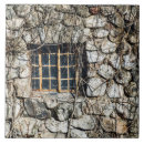 Recherche de fenêtres carreaux Vieux