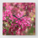 Recherche de crabe horloges Rose