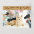 Recherche de spa jour cartes postales Pour tous
