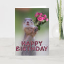 Zoek naar marmot kaarten Foto