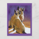 Recherche de de chat siamois cartes postales Photo du chat