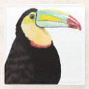 Recherche de toucan dessous de verres Tropical