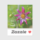 Recherche de dahlia autocollants Fleur