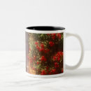 Recherche de provence tasses Vaucluse