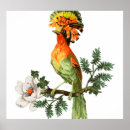 Recherche de peintures de jungle posters Vintage