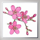 Recherche de d argent posters Rose