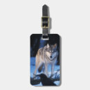 Recherche de steve accessoires Faune