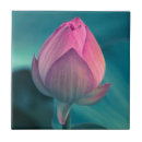 Recherche de lotus fleur carreaux Botanique