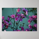 Recherche de signification photographie Floral