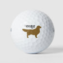 Zoek naar golden retriever Dog