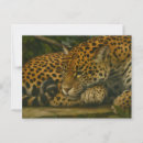 Recherche de jaguar sauvage cartes postales Gros chat
