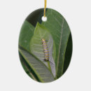 Recherche de papillon de monarque ornements Milkweed