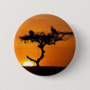Recherche de vautours badges Afrique