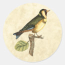 Recherche de perche autocollants Oiseau