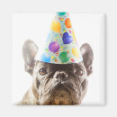 Recherche de chiots magnets Animaux mignons