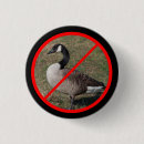 Recherche de oie d badges Pour tous