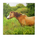 Zoek naar paarden tegels Schattig