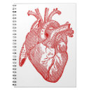 Recherche de anatomie carnets Médical