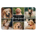 Zoek naar zwarte honden magneten For pets