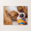 Recherche de cavalier puzzles Animal