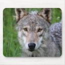 Recherche de bois gris tapis souris Forêt