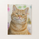Recherche de chat doux puzzles Animal