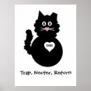Recherche de tnr Neuter
