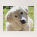 Zoek naar schaap puzzels Geit