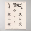 Zoek naar lithografie posters Tekening