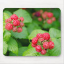 Recherche de framboise tapis souris Nourriture