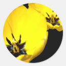 Zoek naar gele tulpen stickers Bloei