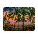 Recherche de tropical refrigérateur magnets Travel