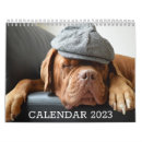 Recherche de dog photographie Amoureux des animaux