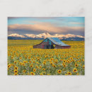 Recherche de farm cartes postales Barn