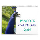Zoek naar peacock kalenders Vogel