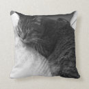 Recherche de chat de sommeil coussins Minou